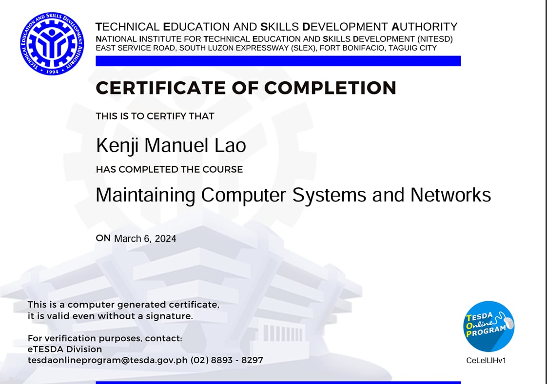 Maintaining Computer Systems and Networks